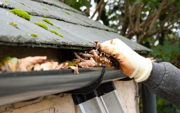 gutter cleaning Low Tharston, Norfolk