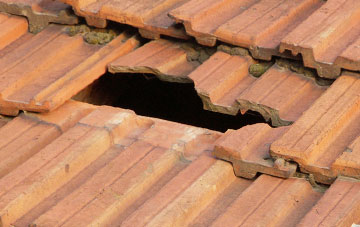 roof repair Low Tharston, Norfolk